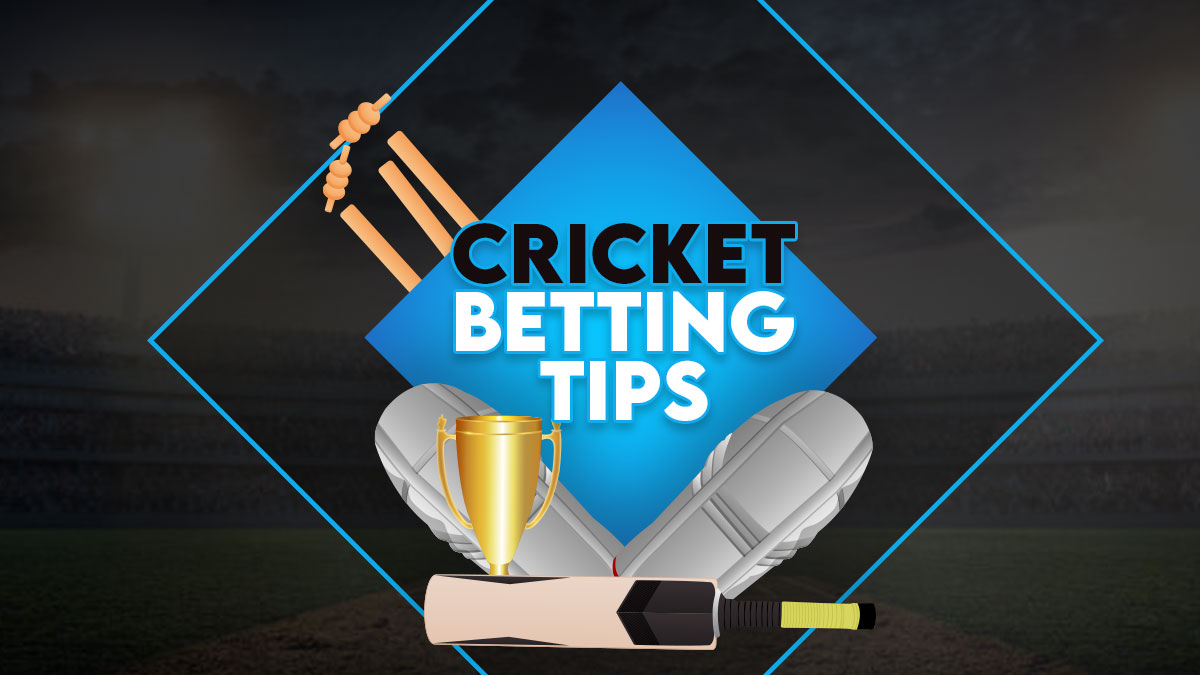 ipl 2025 winner odds-1